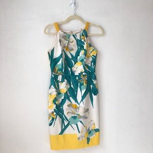 Tahari casual sun dress sleeveless size is 2